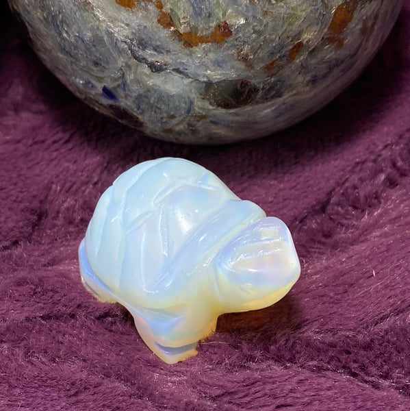 1.5 " Turtle Carving - You Select Crystal Type