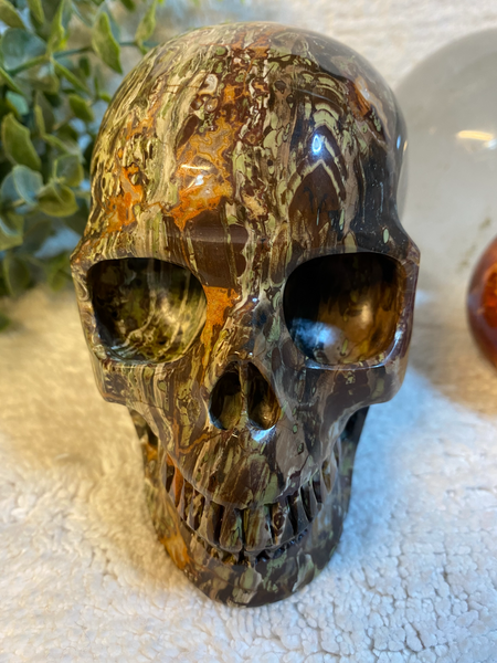 5" Hand Carved Dino Jasper Skull 1247 grams