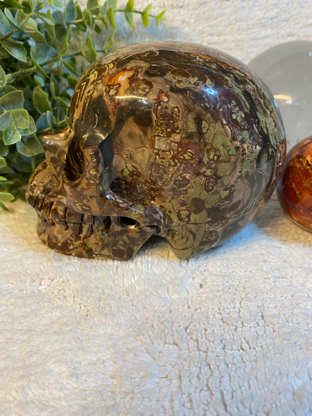 5" Hand Carved Dino Jasper Skull 1247 grams