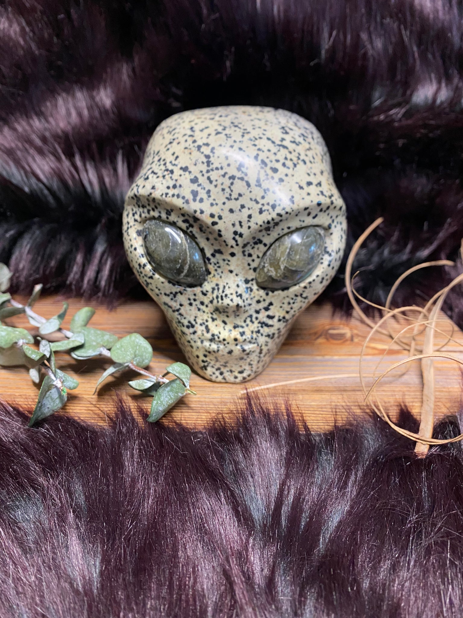5.4" Dalmatian Jasper Alien Star Traveler Skull Carving