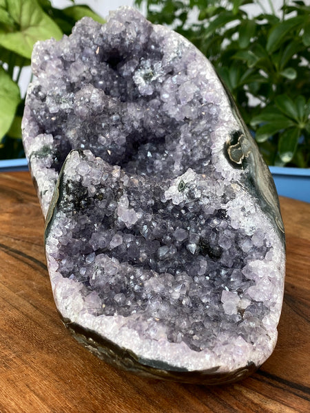 10" Amethyst Flowering Geode on Custom Stand