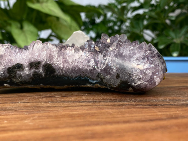 7.25" Amethyst Geode Moon Carving with Calcite Tooth on Custom Stand